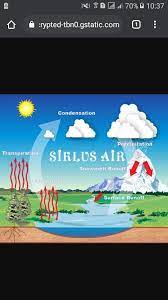Siklus air atau siklus hidrologi adalah sirkulasi air yang tidak pernah berhenti dari atmosfer ke bumi dan kembali ke siklus pendek / siklus kecil. Buatlah Dua Poster Tentang Siklus Air Dan Bencana Kekeringan Brainly Co Id