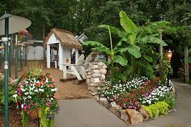 Image result for flowers pigeon garden pictures