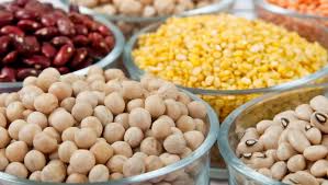 Hasil gambar untuk Seluruh biji-bijian