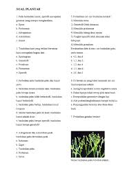 Maybe you would like to learn more about one of these? Soal Biologi Plantae Pdf