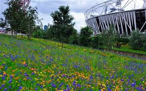 Olympic Park Flowers Planting With An International Theme For London 2012 London Olympic Park Sky Garden Plants