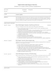 sales support associate resume & guide