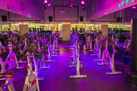Harbor fitness, located in bay harbor islands, florida, is at kane concourse 1086. Harbor Fitness