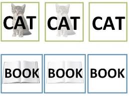 Aba Faded Stimulus Functional Sightwords Special Education Teacher Beginning Reading Teaching Reading