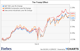 stock market slingshots higher after trump victory sparked