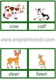 Animal groups and babies often have strange names. Reading Comprehension Worksheets Anna The Cow
