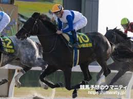 連単 競馬予想 daigoのワイド予想 イチオシ大予想tv 馬キュン 爆笑問題・田中裕二 競馬予想 麒麟川島・競馬予想 安藤勝己 アンカツ予想 佐藤哲三 競馬予想. Psnf Fvmw B51m