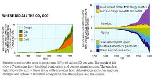 carbon cycle feedbacks meteo 469