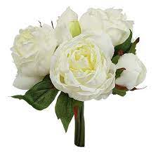 Ausser saison, aktuell nicht verfügbar. Blumenstrauss Pfingstrosen Weiss L30cm 76730 Einkaufen In Der Schweiz