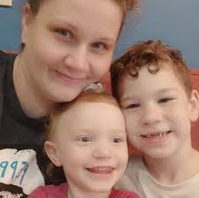 Budget friendly flea medicine for indoor cats