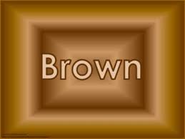 Color My World Activity Packet Brown Preschool Colors Color Classroom Fun