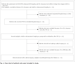 Figure 1 From Preoperative Estimation Of Future Remnant