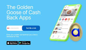 The best cash back apps: Ampli Review Earn Cash Back When You Shop 5 Bonus