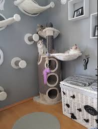 Catwalk Kratzbaum Katzen Korb Cattery Catsdiytower Kratzbaum Katze Kratzbaum Catwalk Katzen