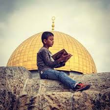 طفل يقرأ القرآن الكريم في القدس Palestine Palestine History Palestine Art