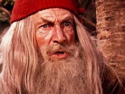 Swiss Family Robinson