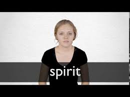 We did not find results for: Spirit Definition Und Bedeutung Collins Worterbuch