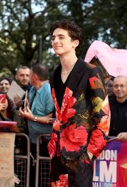 He also had his recurring role as luke in royal pains. Beautiful Boy Timothee Chalamet Aims To Keep Level Head