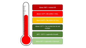 Image result for Legionella