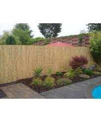 Sichtschutzmatten Sichtschutz Bambus Bambusmatte Met Afbeeldingen Tuinartikelen Achtertuinen Natuur