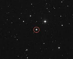 Check spelling or type a new query. Gliese 445 Wikipedia