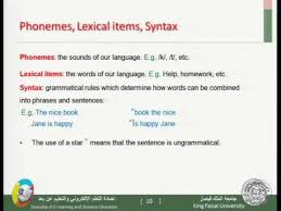 1علم اللغة الاجتماعي Youtube