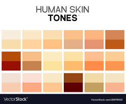 Skin Tone Color Chart Human Skin Texture Color
