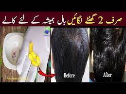 Turn White Hair Into Black Permanently 100 Safe And Natural Method Grey Hair Solution Youtube Gray Hair Solutions Hair Solutions Grow Natural Black Hair