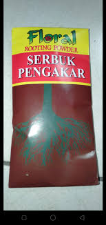 Selain itu ada banyak variasi contoh. Sapu Kapur Untuk Biak Pokok Ros Dari Keratan Batang Memang Menjadi Rumah Ibs Kontraktor Bina Rumah Ibs Selangor