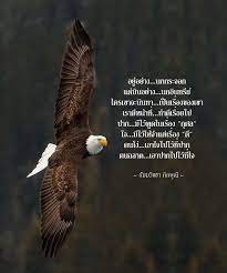 บ นอย าง นกอ นทร ย คนโง วอลเปเปอร