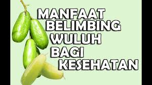 Resep herbal (alami)khasiat belimbing manis untuk kesehatanuntuk mendapatkan info secara otomatis video terbaru.silahkan subscribe. Manfaat Belimbing Wuluh Bagi Kesehatan Youtube