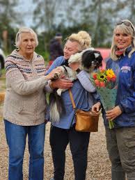 Bulletjie in berg na ongeluk gevind