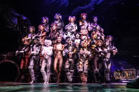 We would like to show you a description here but the site won't allow us. Cats Is Back In Chicago At The Nederlander Theatre It S Live So Put Those Claws Away Chicago Tribune
