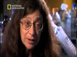 Todo sobre las abejas, rescate de abejas, con Carlos Sánchez e Iris Alfaro  Live 15