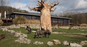 Frankfurt Zoo One Of The Most Important Zoos In Europe Opel Zoo Zoo Hunde