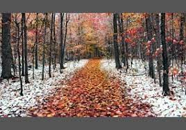 Just a shirt and a thick. Is Fall The Better Than Winter Or Is Winter Better Than Fall Debate Org