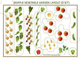 Planning a garden layout with our free software and veggie garden plans. Beginner Gardening Series How To Plant Lettuce Sustain My Cooking Habit