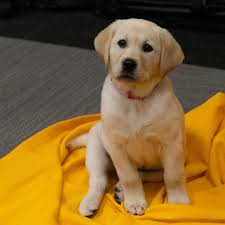 St. John Vianney High School