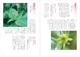 新装改訂版 万葉の花 四季の花々と歌に親しむ 片岡寧豊 本 通販 Amazon