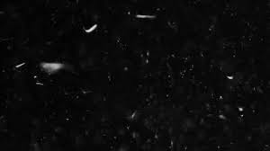 Click the button below to try one of the best photo editing software tools on the market. Feathers And Organic Dust Fall Stock Footage Video 100 Royalty Free 1023879556 Shutterstock