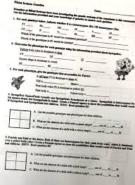 Even something as easy as guessing the beginning letter of long words can assist your child improve his phonics abilities. Bikini Bottom Genetics Fellowkids