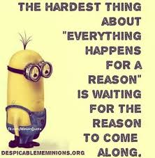 There are over hundred billion galaxies, not hundred billion stars; Everything Happens For A Reason Minions Funny Funny Minion Quotes Minion Quotes