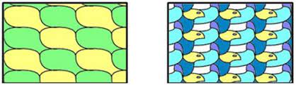 3.5 menemukan bangun segi banyak beraturan maupun tak beraturan yang membentuk pola pengubinan melalui pengamatan. Pro Edukasi Macam Macam Pengubinan Tessellation