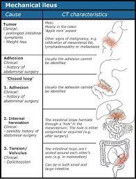 Startradiology Radiology Student Diagnostic Imaging Radiology Imaging