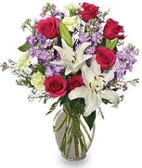 We offer the best rates at excellence punta cana. About Us Fortuna Florist Yuma Az