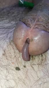 Big worm visit my cock - ThisVid.com