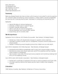 Professional Budget Analyst Templates To Showcase Your Talent Myperfectresume