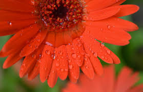 A sampling of songs from the british council's musicians in residence program, exploring new electronic soundscapes. April Showers Bring May Flowers Or Do They Alan S Factory Outlet