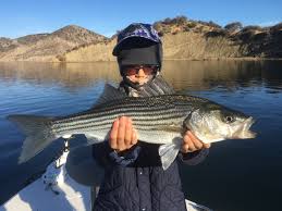 Fishing - Lake Piru