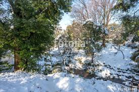 Résultat de recherche d'images pour "有栖川宮記念公園"